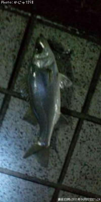 �ҥ饹����