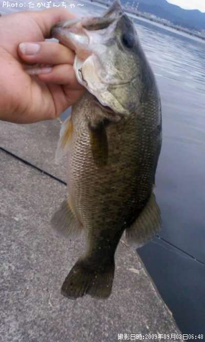 �֥�å��Х�