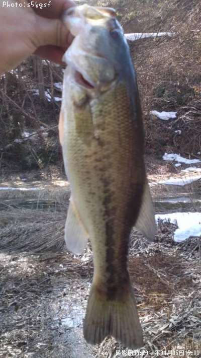 �֥�å��Х�