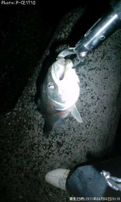 �����Х�