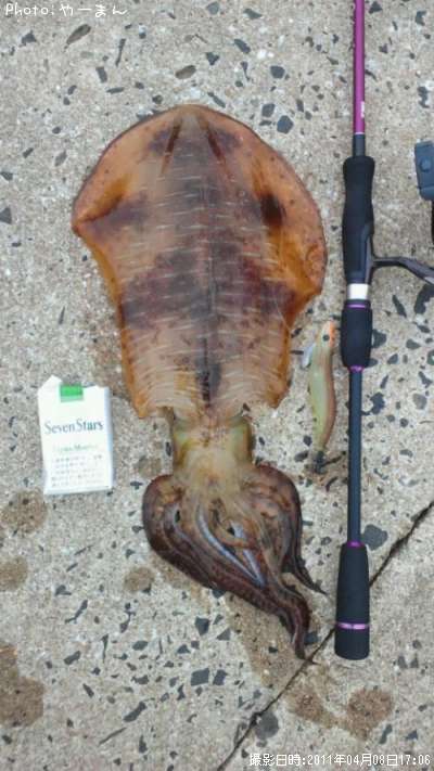 �����ꥤ��