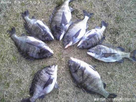 �����Υ�������