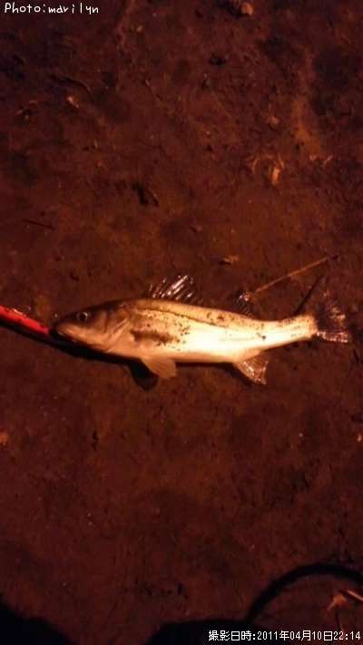 �����Х�