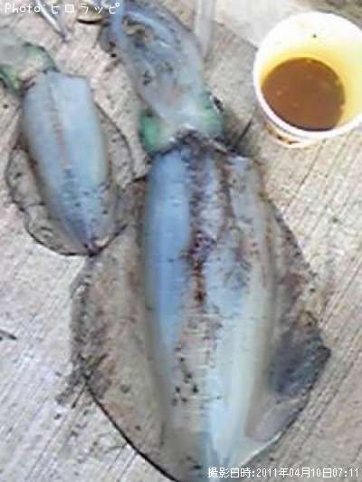 �����ꥤ��