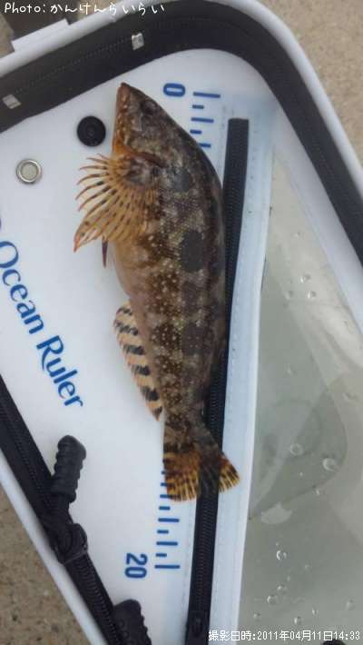 �����ʥ�