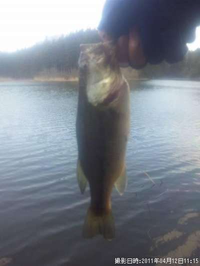 �֥�å��Х�