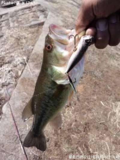 �֥�å��Х��ʥ顼����