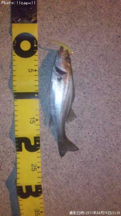 �����Х�