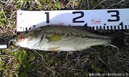 �֥�å��Х�