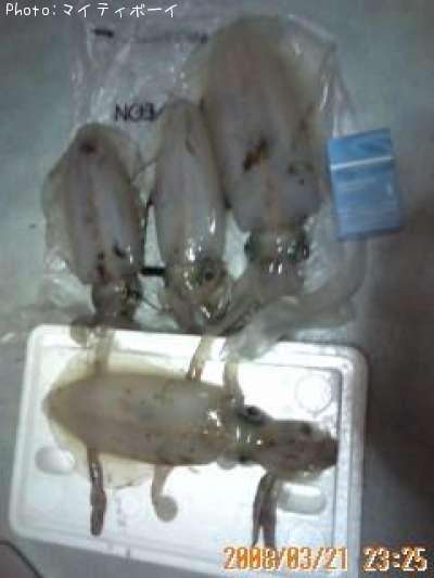 �����ꥤ��