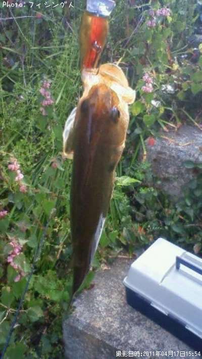 �֥�å��Х�