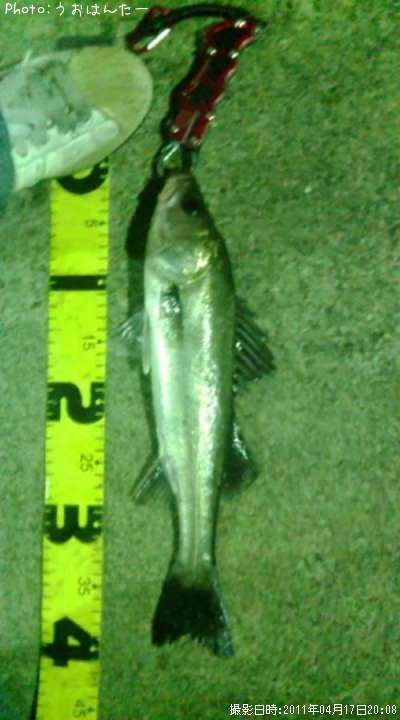 �����Х�