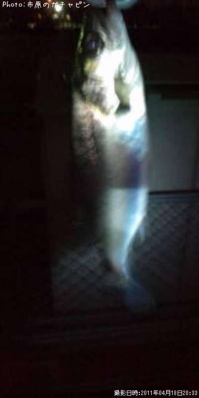 �����Х�