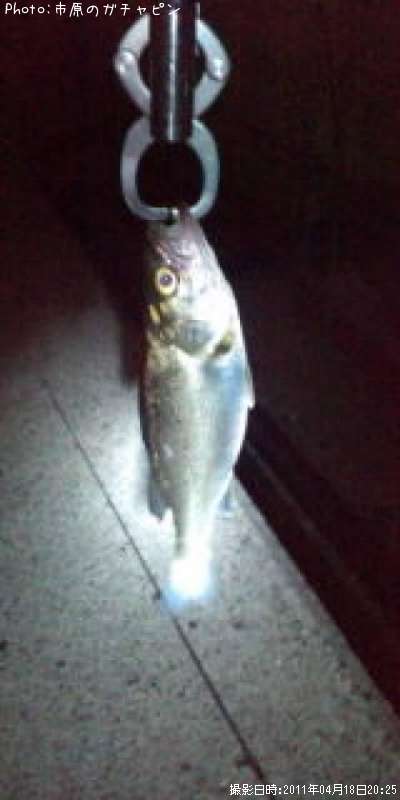 �����Х�