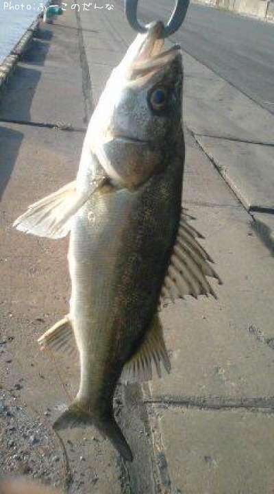 �����Х�