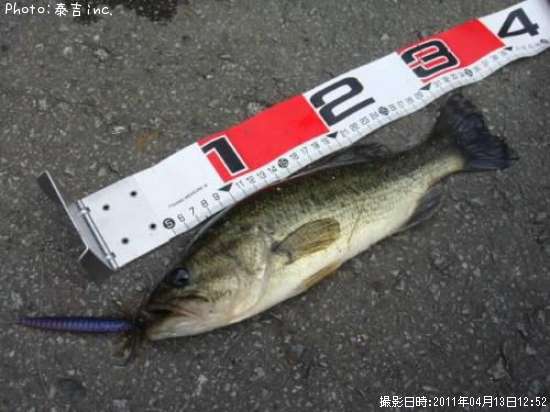 �֥�å��Х�