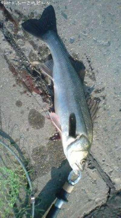 �����Х�