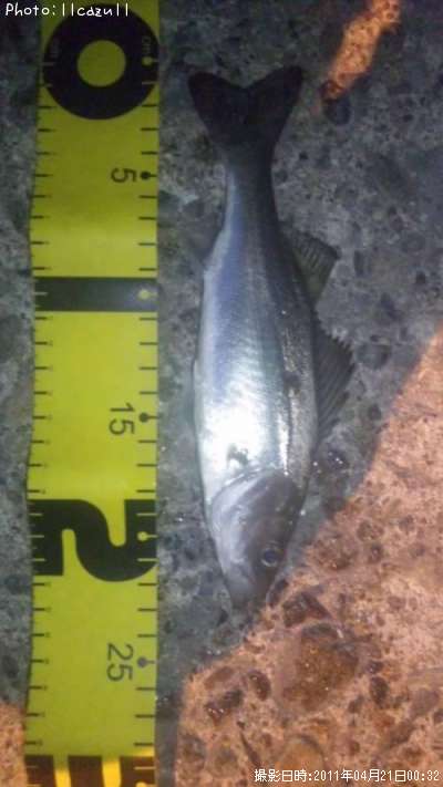 �����Х�