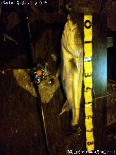 �����Х�