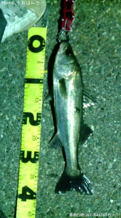 �����Х�