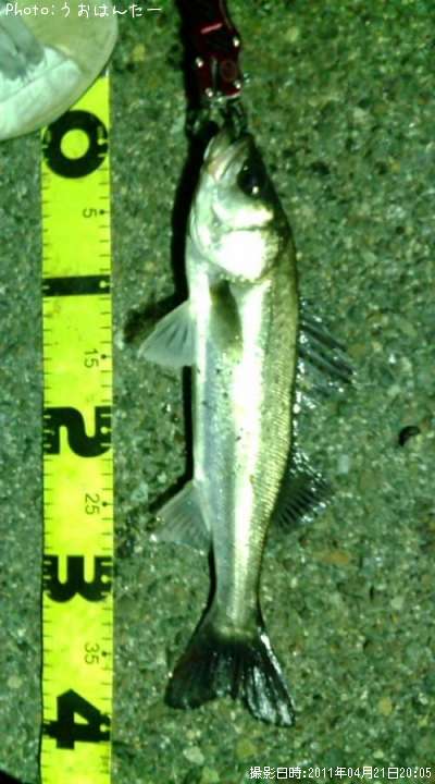 �����Х�