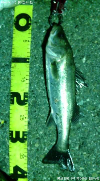 �����Х�