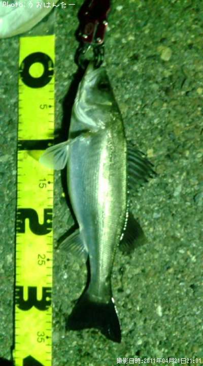 �����Х�