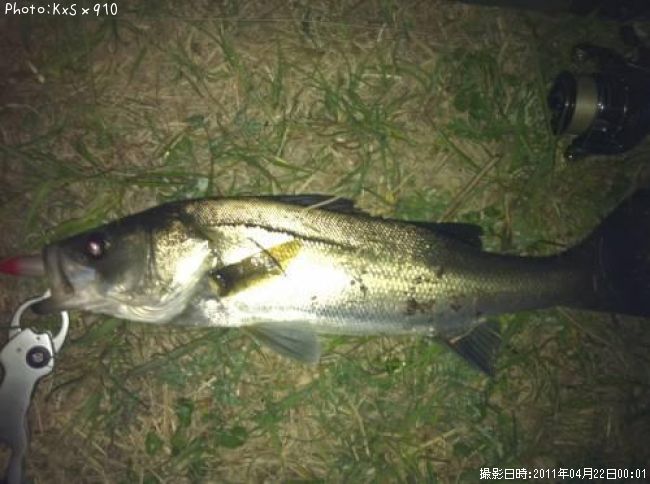 �����Х�