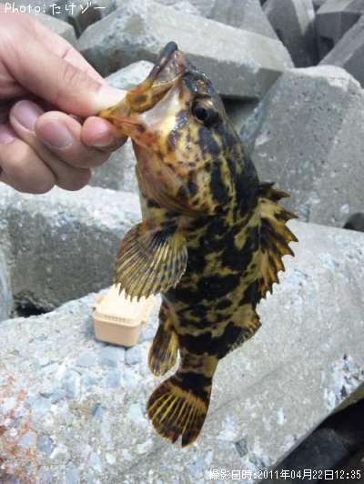 �����Υ���Х�