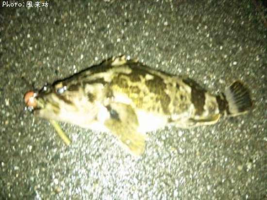 �����Υ���Х�