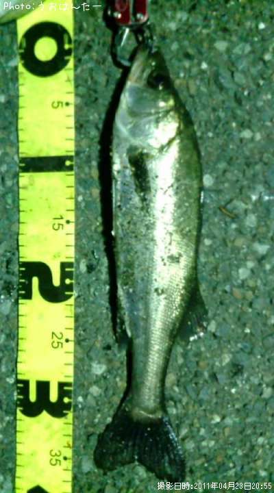 �����Х�