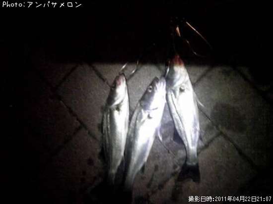 �����Х�