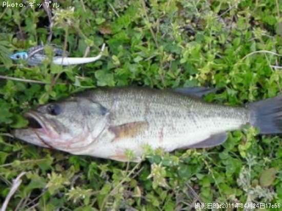 �֥�å��Х�