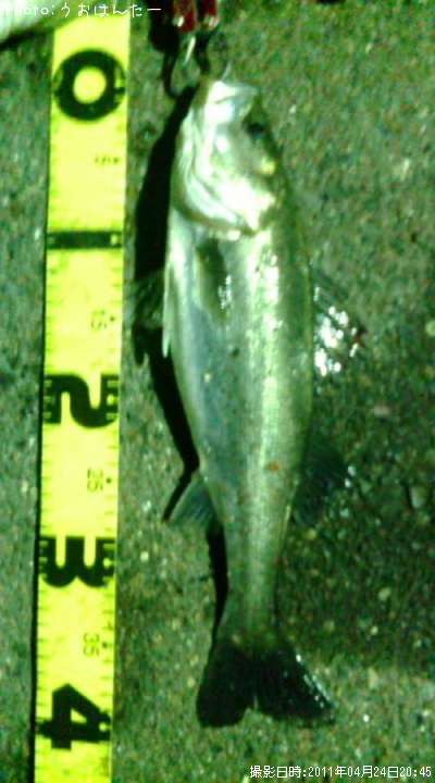 �����Х�