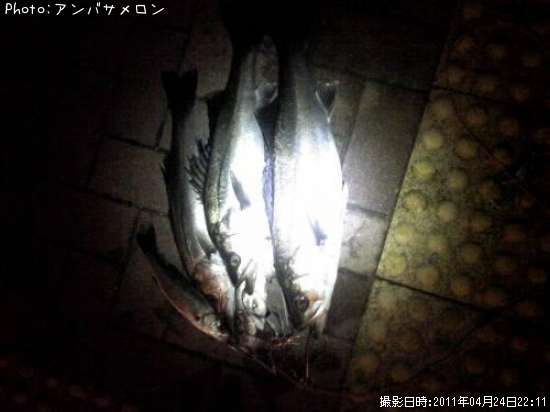 �����Х�