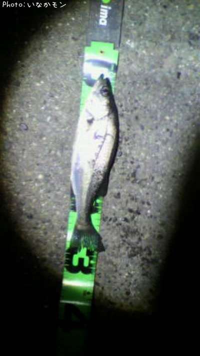 �����Х�