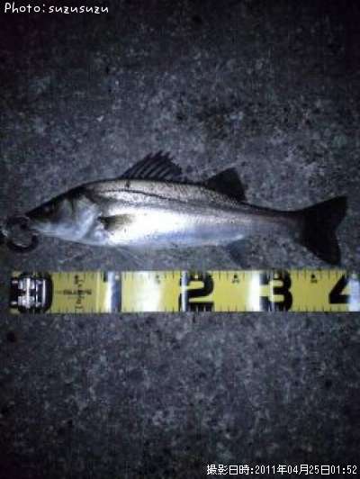 �����Х�