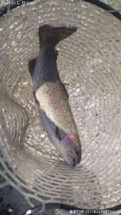 �쥤��ܡ��ȥ饦��