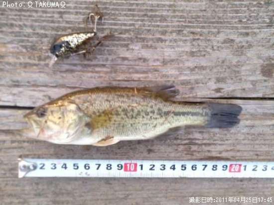 �֥�å��Х�