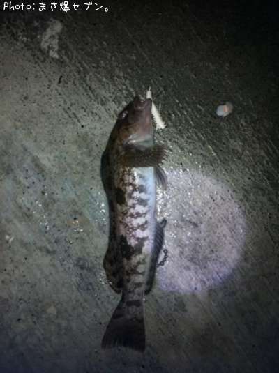 �����ʥ�