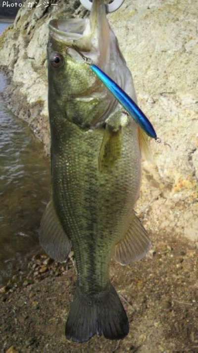 �֥�å��Х�