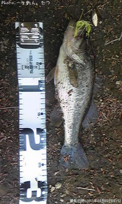 �֥�å��Х�