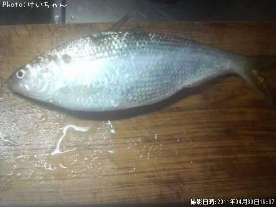 ���Υ���