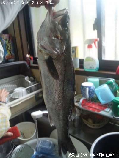 �����Х�