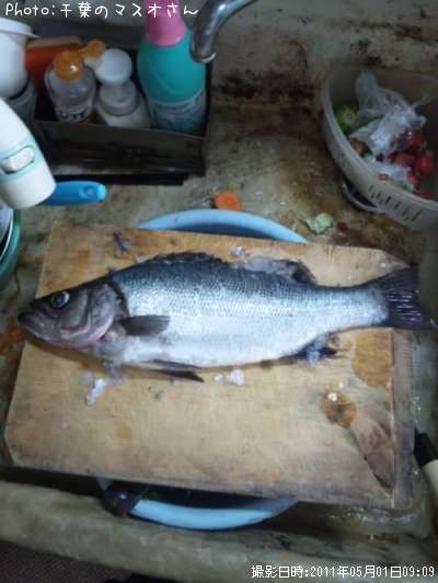 �����Х��ʥҥ��