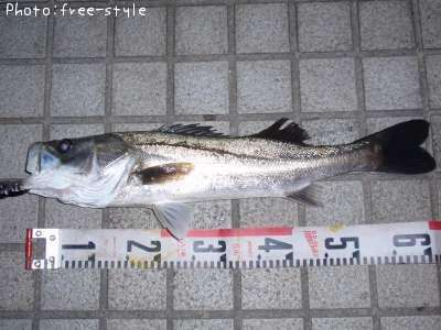 �����Х�