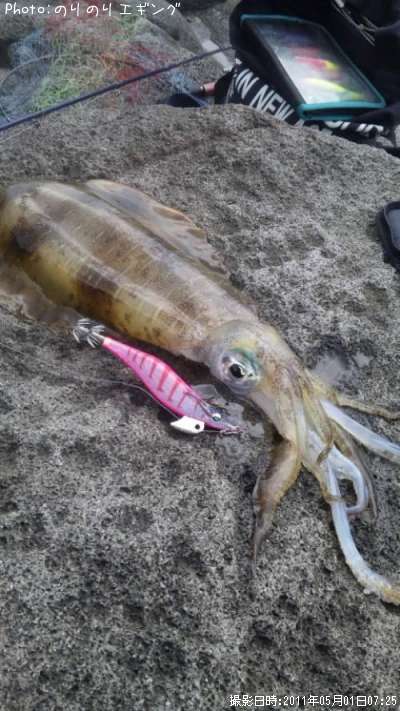 �����ꥤ��