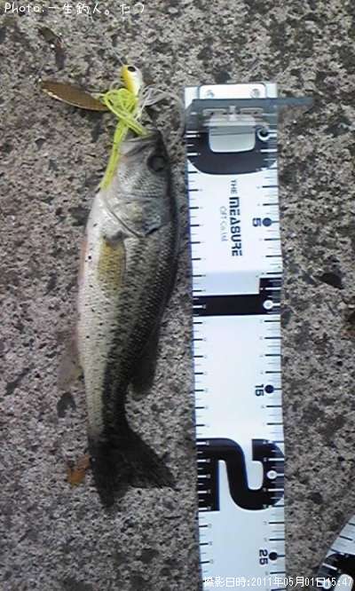 �֥�å��Х�