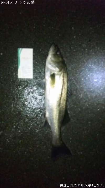 �����Х�