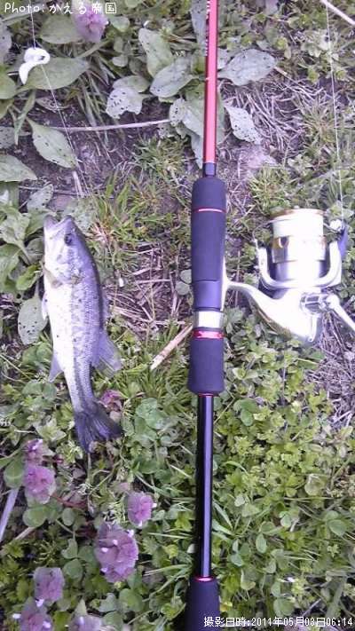 �������Х�